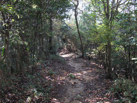 20131116hike (174)